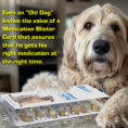 Dog-and-Card