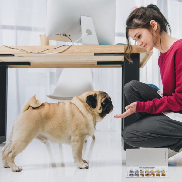 Girl-Pug-and-Card